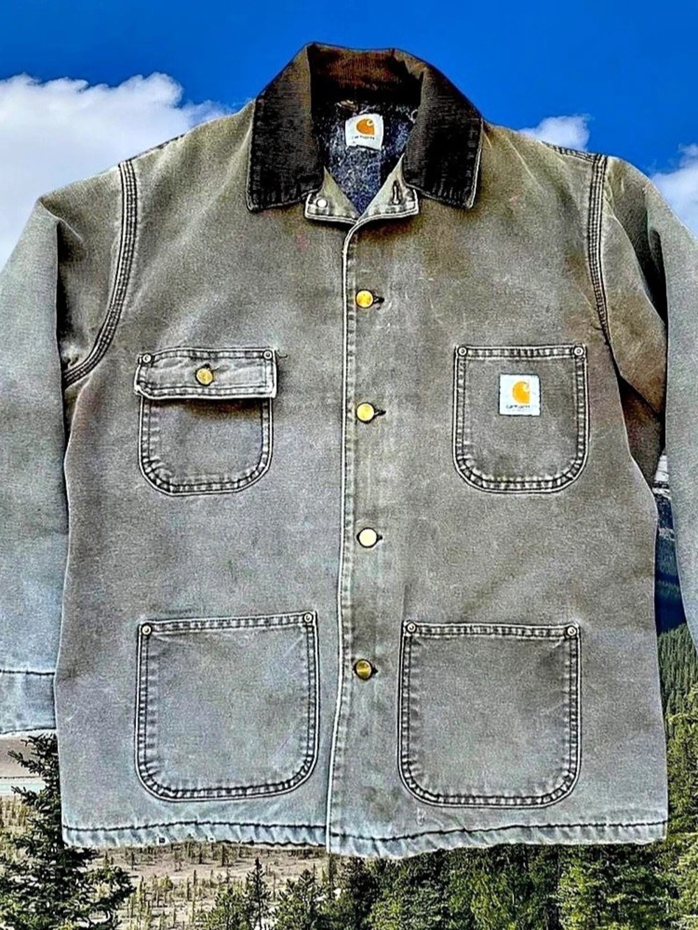 Carhartt Blanket-Lined Duck Chore Coat in Gray